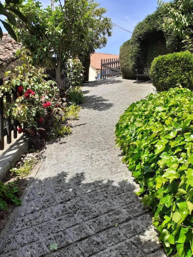 La Casina De Santulaya Villa Cangas del Narcea Kültér fotó